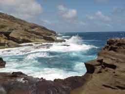 Hawaii coast with waves spashing up